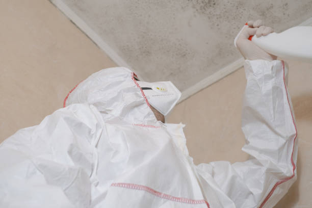 Best Office Mold Removal Services  in Worland, WY