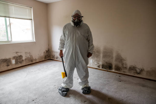 Best Emergency Mold Removal  in Worland, WY